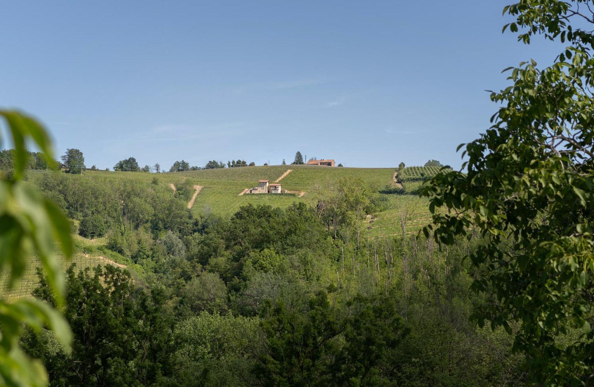 I Ciabot Di Monforte Monforte D'Alba Luaran gambar