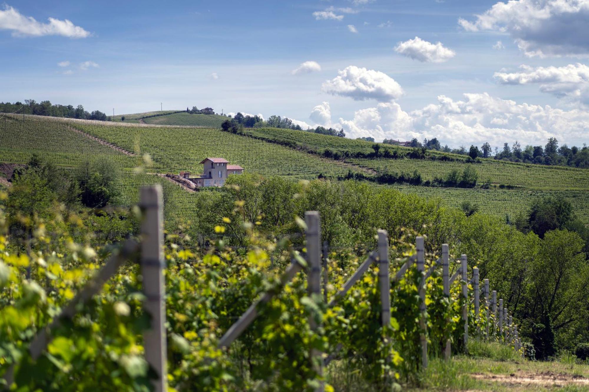 I Ciabot Di Monforte Monforte D'Alba Luaran gambar