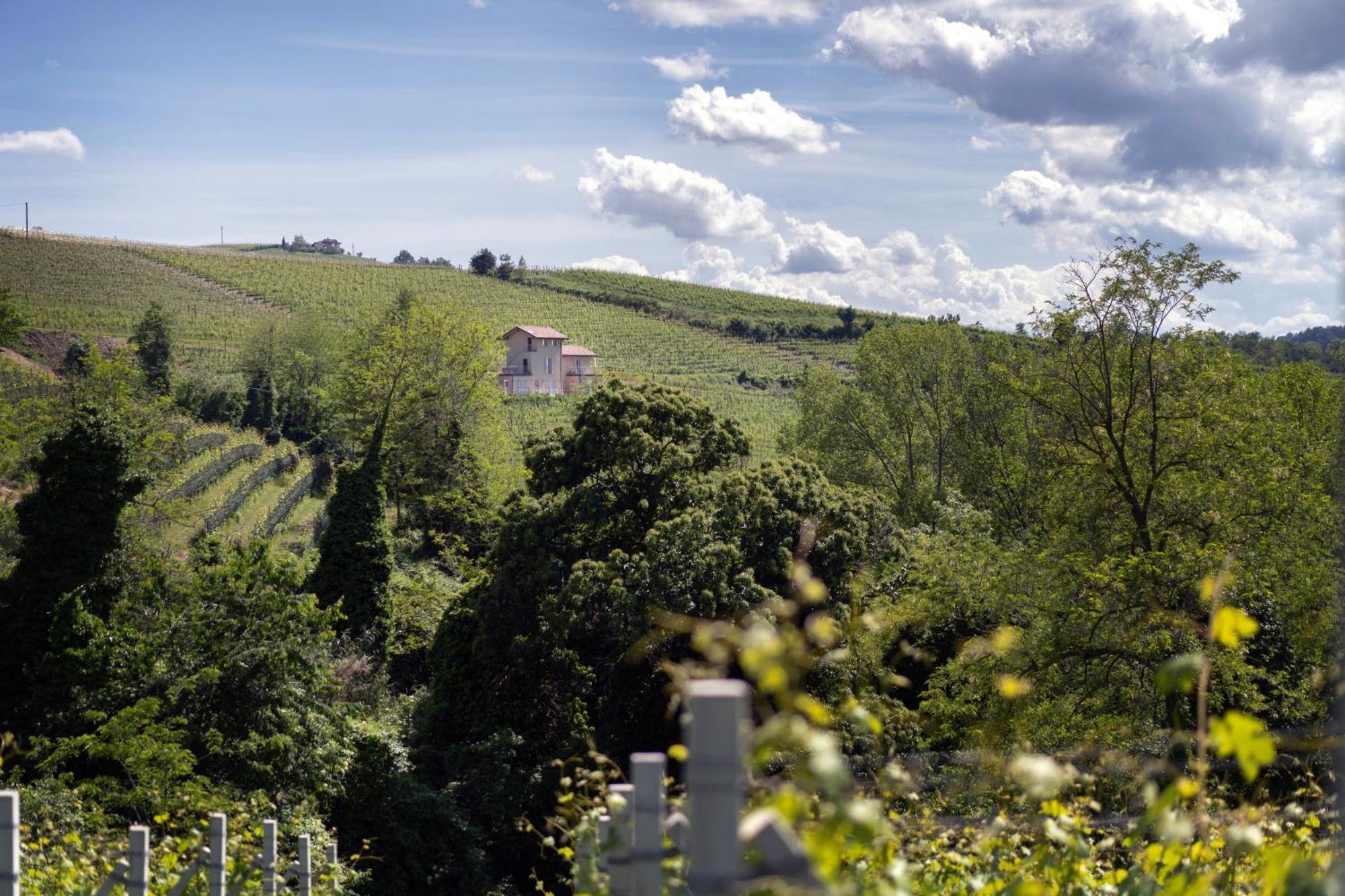 I Ciabot Di Monforte Monforte D'Alba Luaran gambar